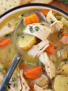 Chicken Stew in a bowl with spoon