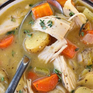 Chicken Stew in a bowl with spoon