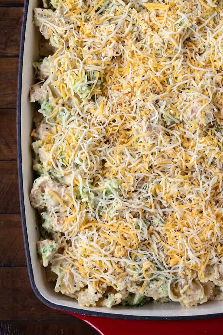 Cheese on top of a chicken and broccoli casserole in a baking dish