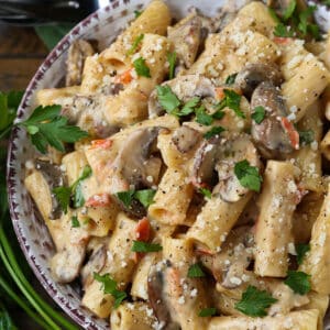 Rigatoni pasta with mushrooms in a wine cream sauce