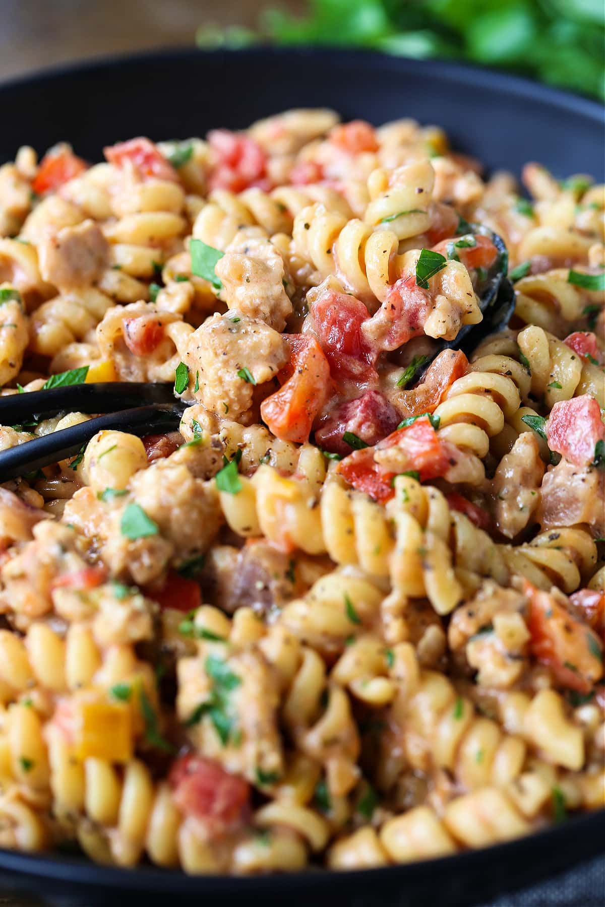 rotini pasta with ground turkey, vegetables and cheese