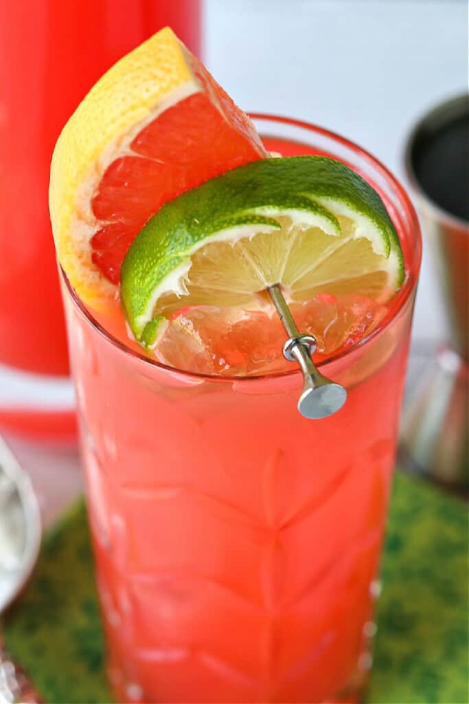 seabreeze cocktail with citrus garnish