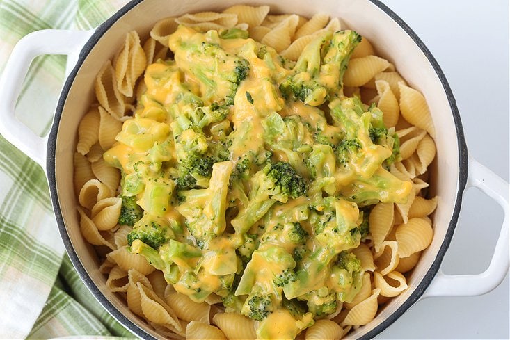 broccoli and cheese sauce in a pot with pasta