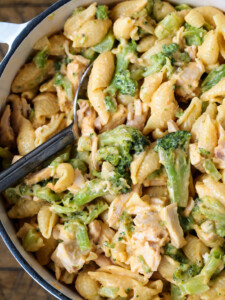 broccoli cheese pasta with chicken in a pot