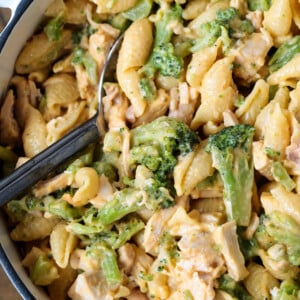 broccoli cheese pasta with chicken in a pot