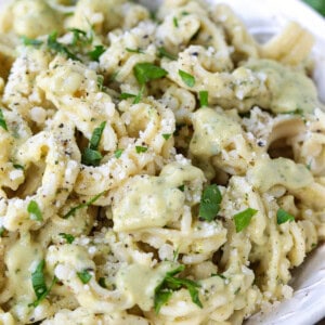 pasta on a white plate with zucchini pasta sauce
