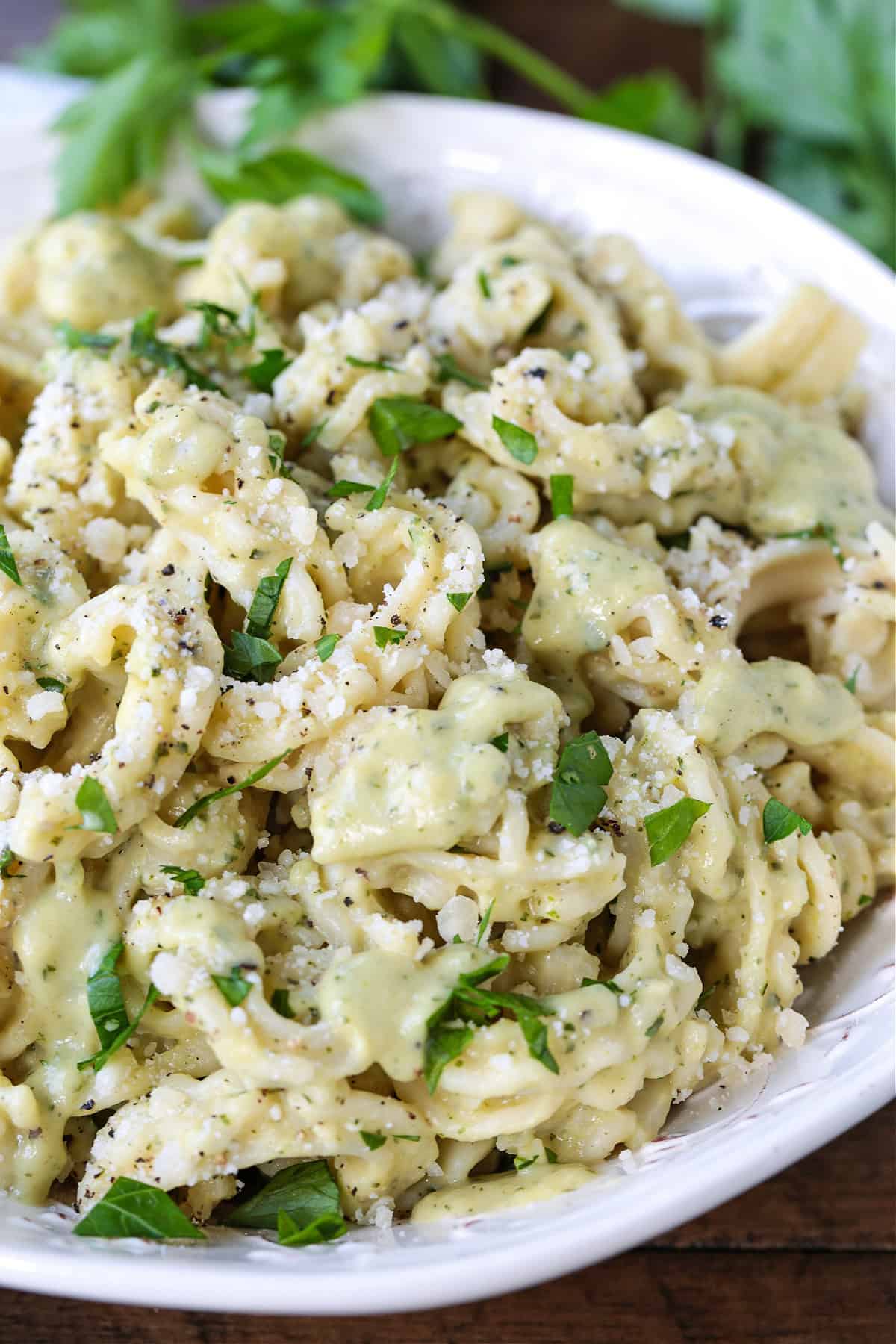 Zucchini Pasta Sauce can be used with any pasta shape, even in lasagna! Fresh and creamy and packed with tons of fresh zucchini flavor! pasta on a white plate with zucchini pasta sauce