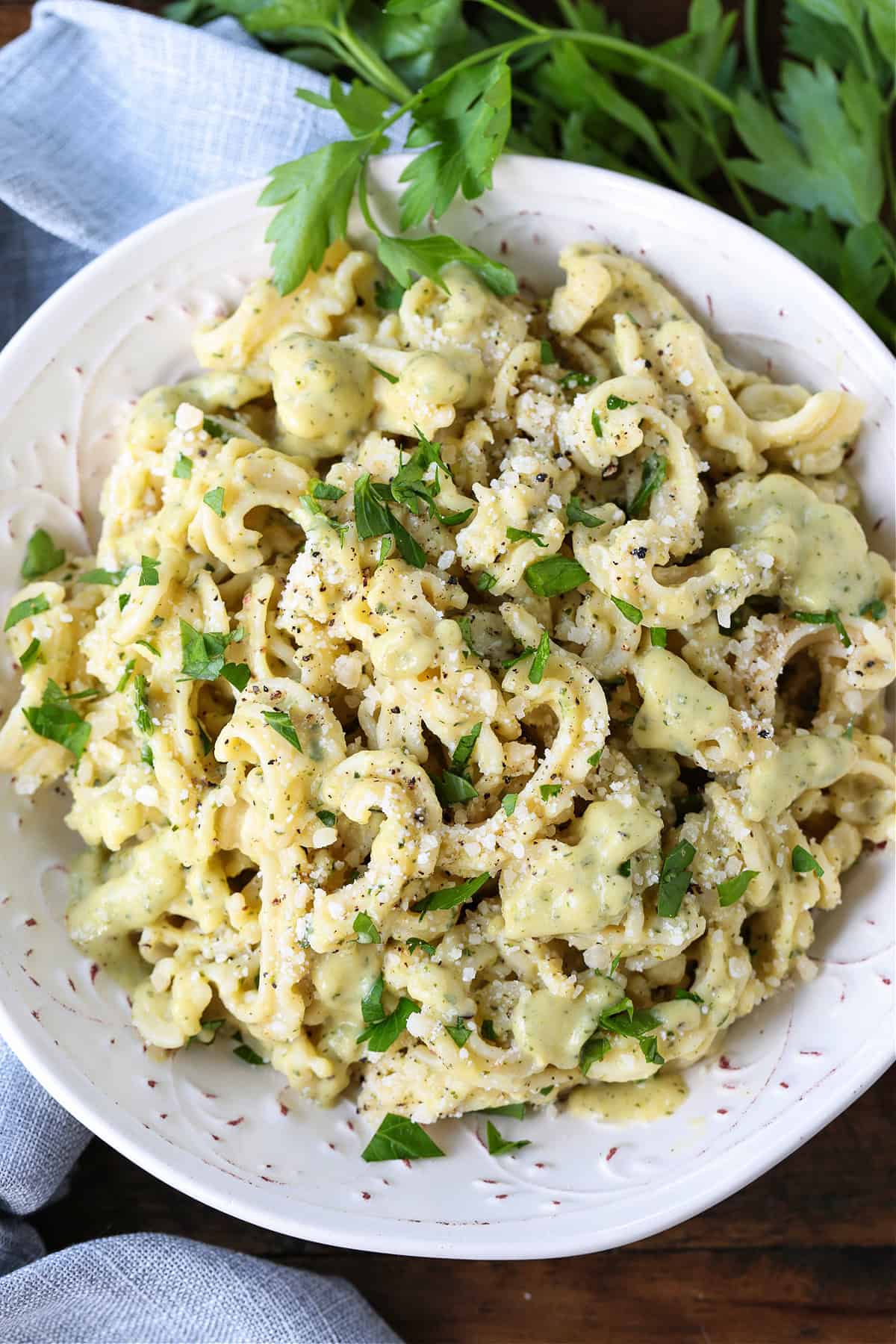 Zucchini Pasta Sauce can be used with any pasta shape, even in lasagna! Fresh and creamy and packed with tons of fresh zucchini flavor! pasta with zucchini cream sauce on plate with parsley