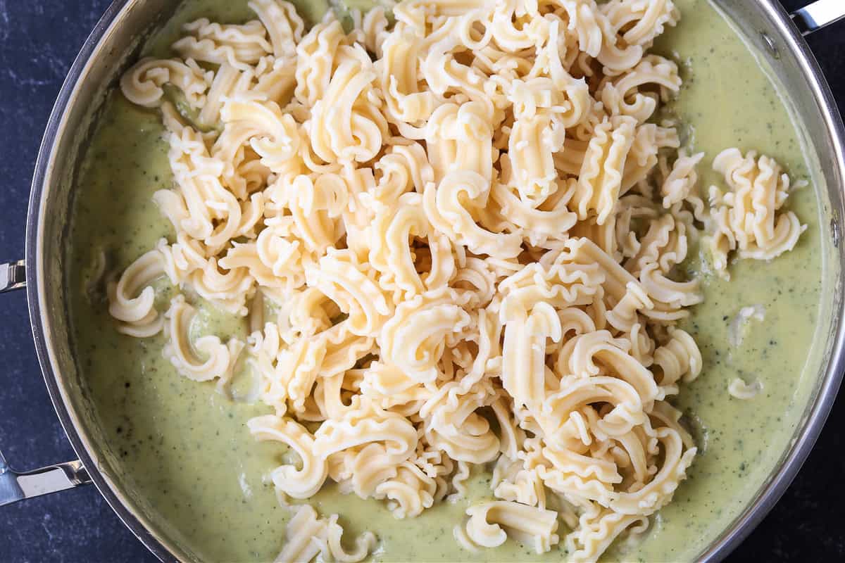 Zucchini Pasta Sauce can be used with any pasta shape, even in lasagna! Fresh and creamy and packed with tons of fresh zucchini flavor! cooked pasta in a skillet with zucchini pasta sauce