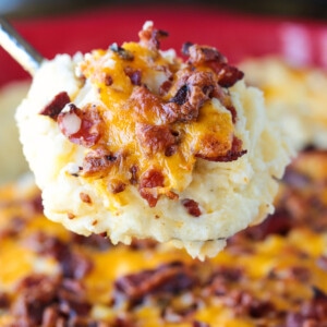spoonful of mashed potatoes with cheese and bacon