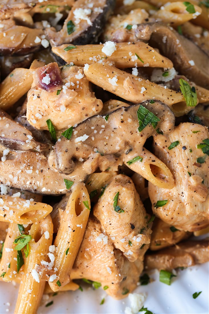 Close up of chunks of chicken, penne pasta, and mushrooms in pasta da vinci