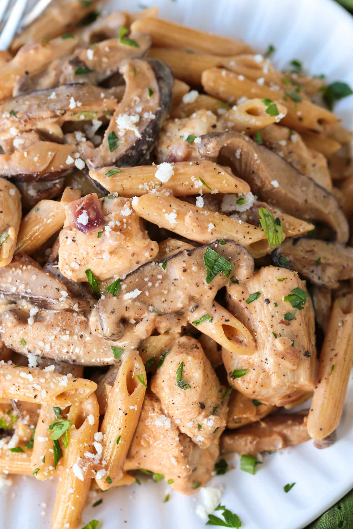 penne with chicken and mushrooms on white plate