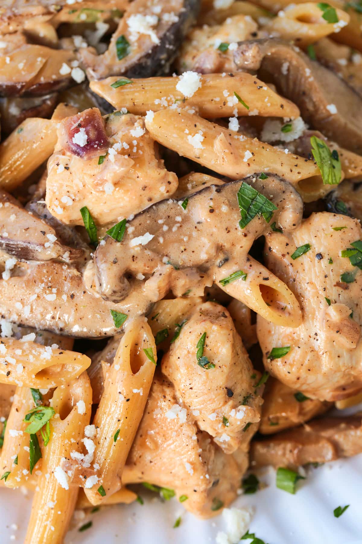 close up of pasta d vinci on a plate