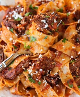 short rib ragu and pappardelle pasta on a plate with fork