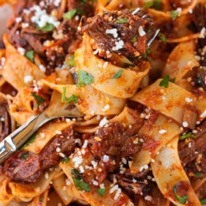 short rib ragu and pappardelle pasta on a plate with fork