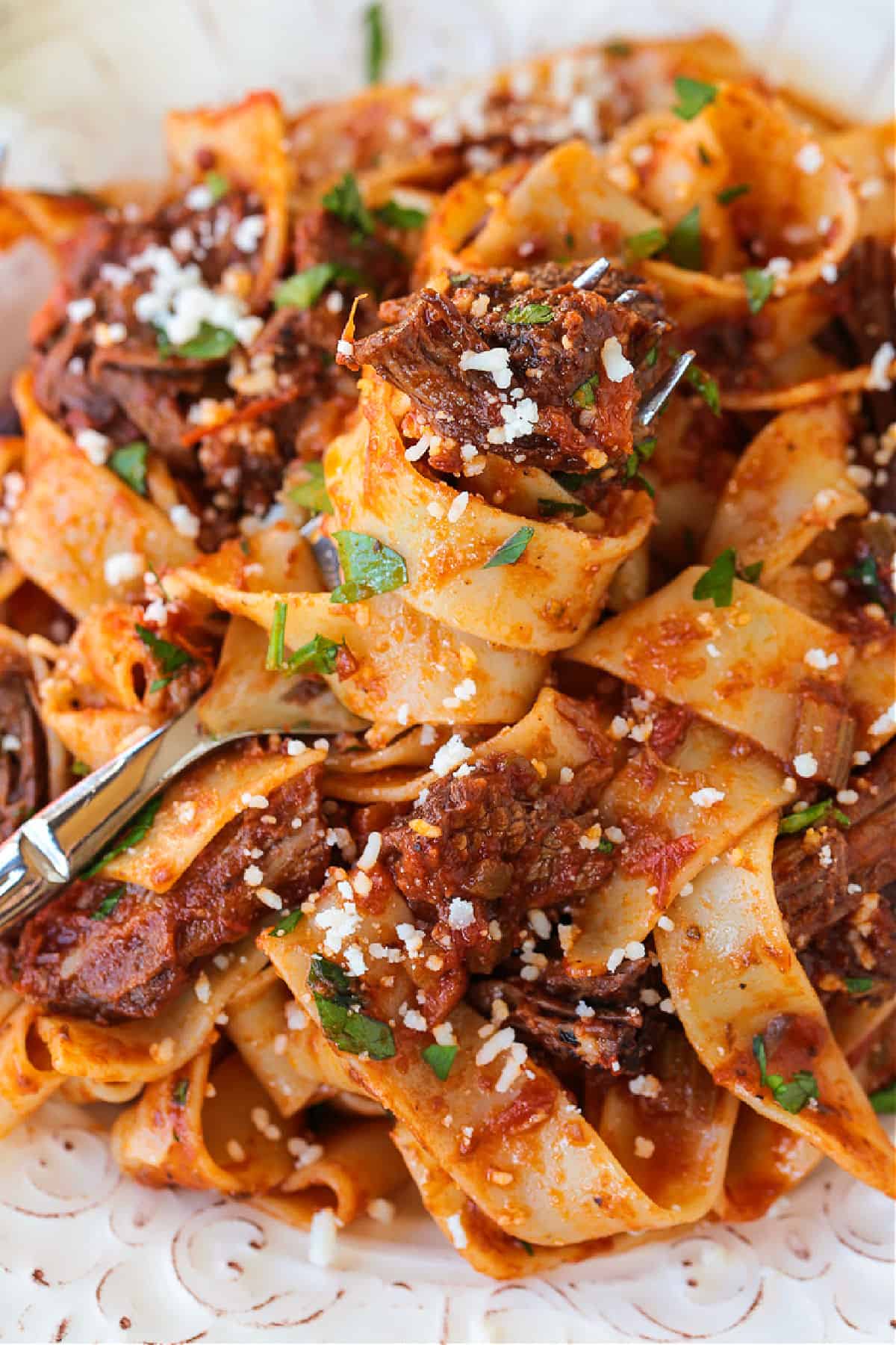 short rib ragu and pappardelle pasta on a plate with fork
