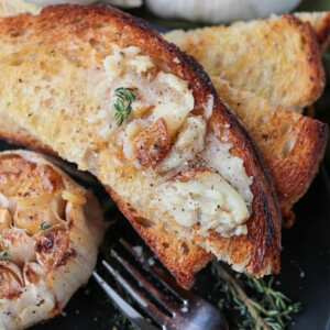 roasted garlic spread onto toast points