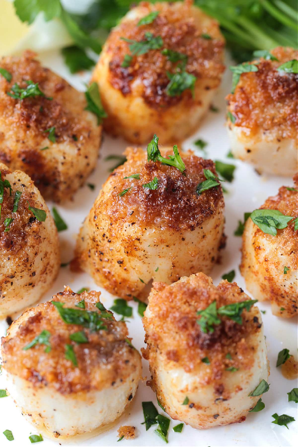These Air Fryer Scallops are perfectly cooked and are melt in your mouth tender. An easy seafood dinner recipe for any occasion! air fryer scallops with a panko topping on plate