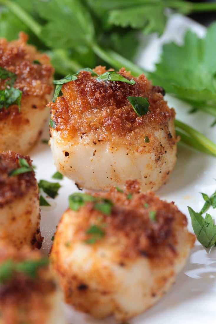 scallops with a breadcrumb crust on plate with parsley