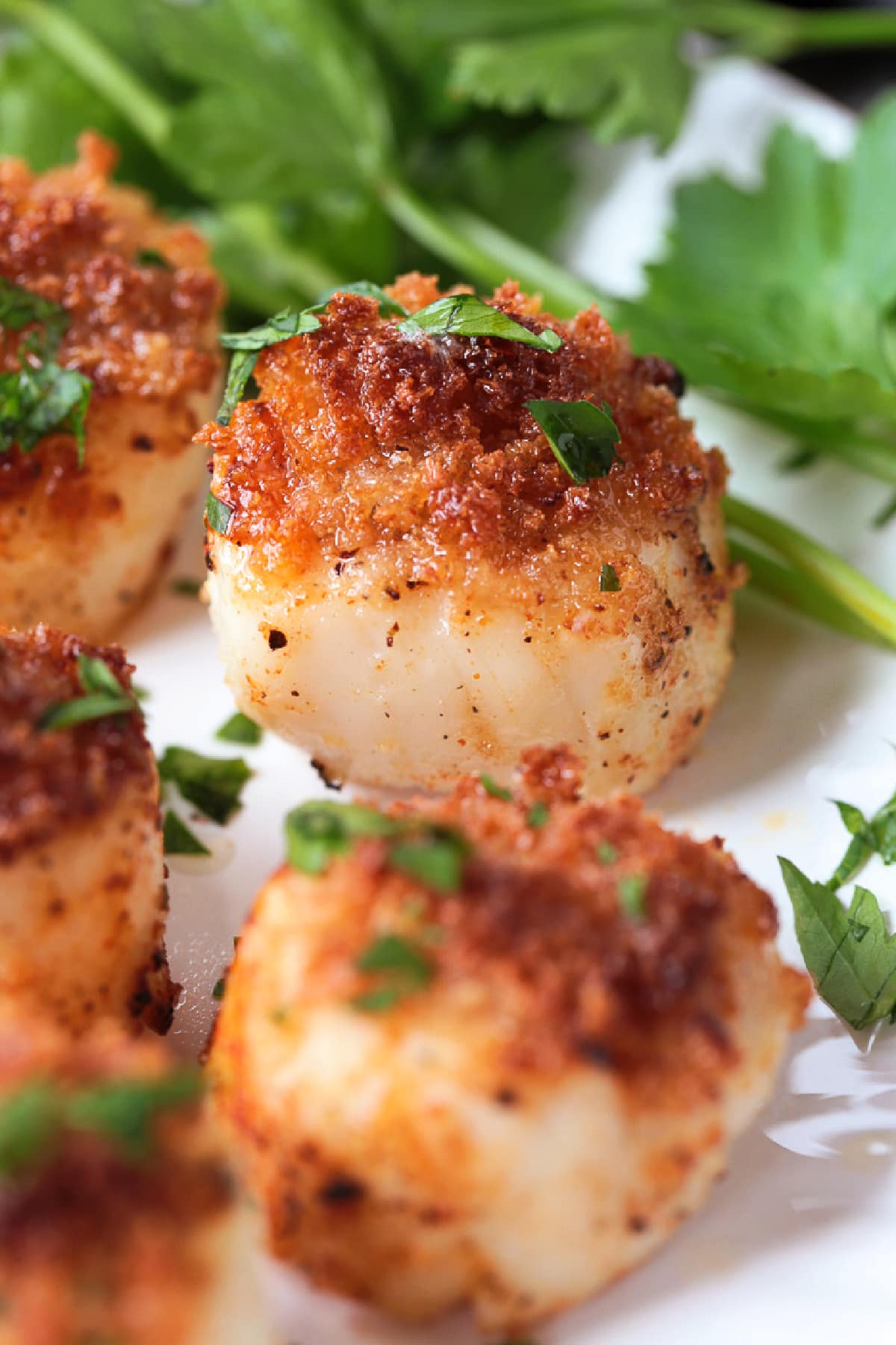 These Air Fryer Scallops are perfectly cooked and are melt in your mouth tender. An easy seafood dinner recipe for any occasion! scallops with a breadcrumb crust on plate with parsley