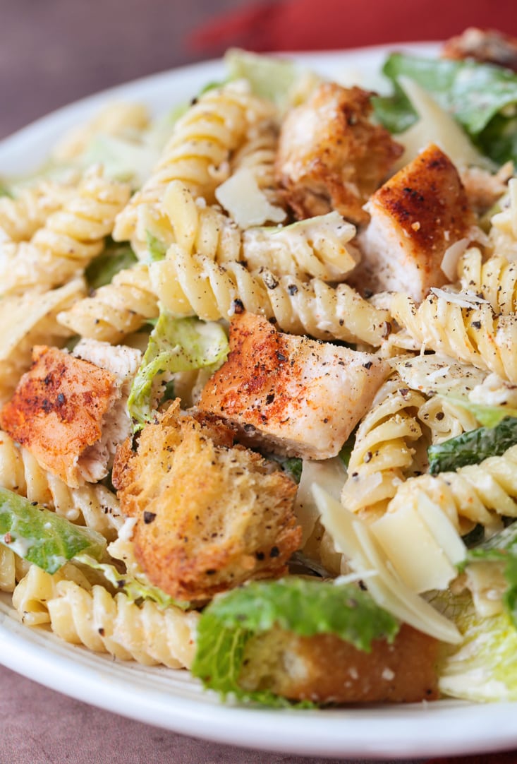 This Chicken Caesar Pasta Salad is bursting with flavor! Pasta tossed with lettuce and crunchy croutons, and our homemade Caesar dressing! chicken caesar pasta salad on plate from the side