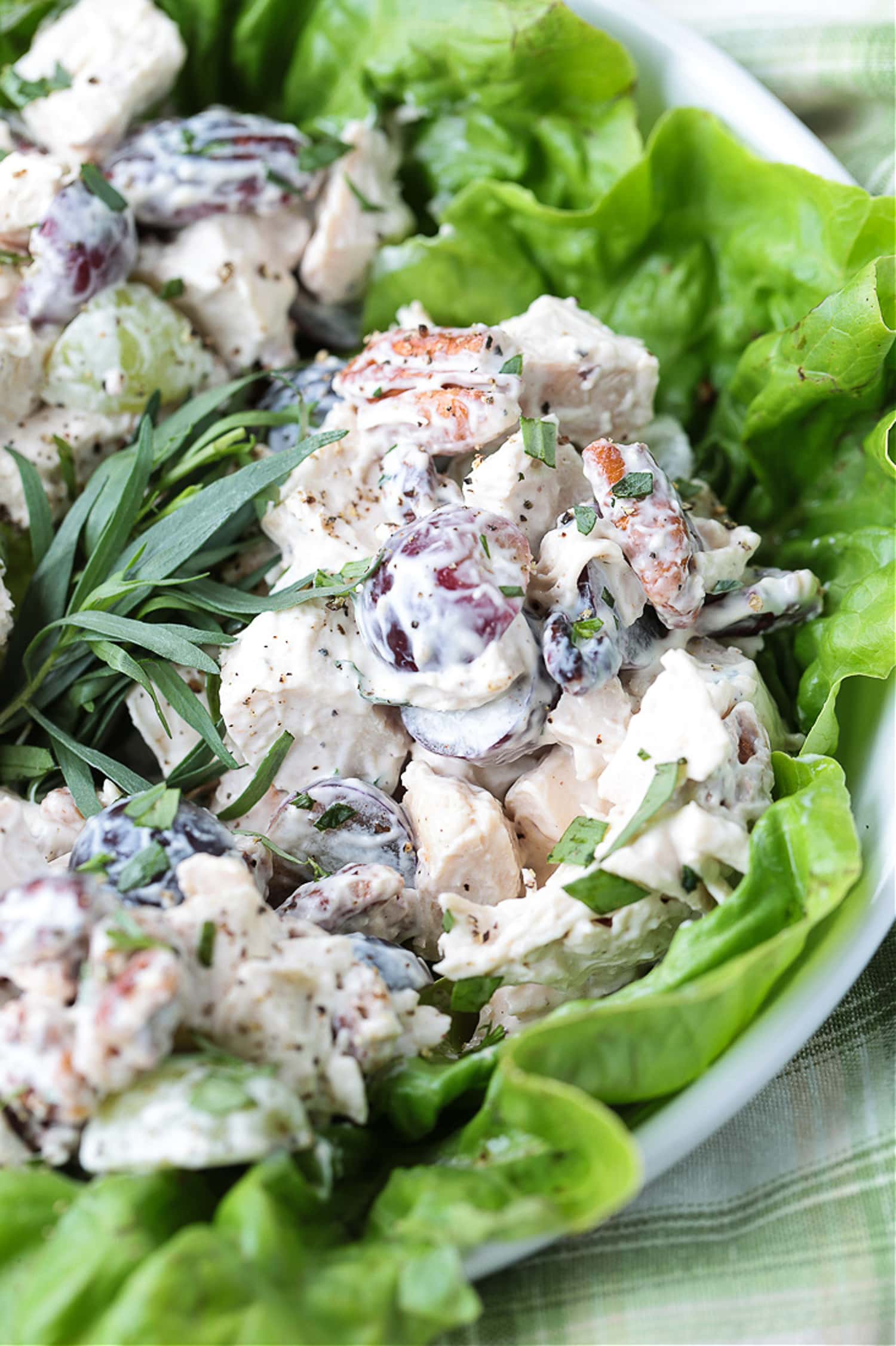 chicken salad with tarragon on a bed of lettuce