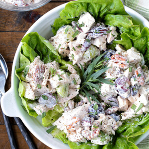 chicken salad on a bed of lettuce