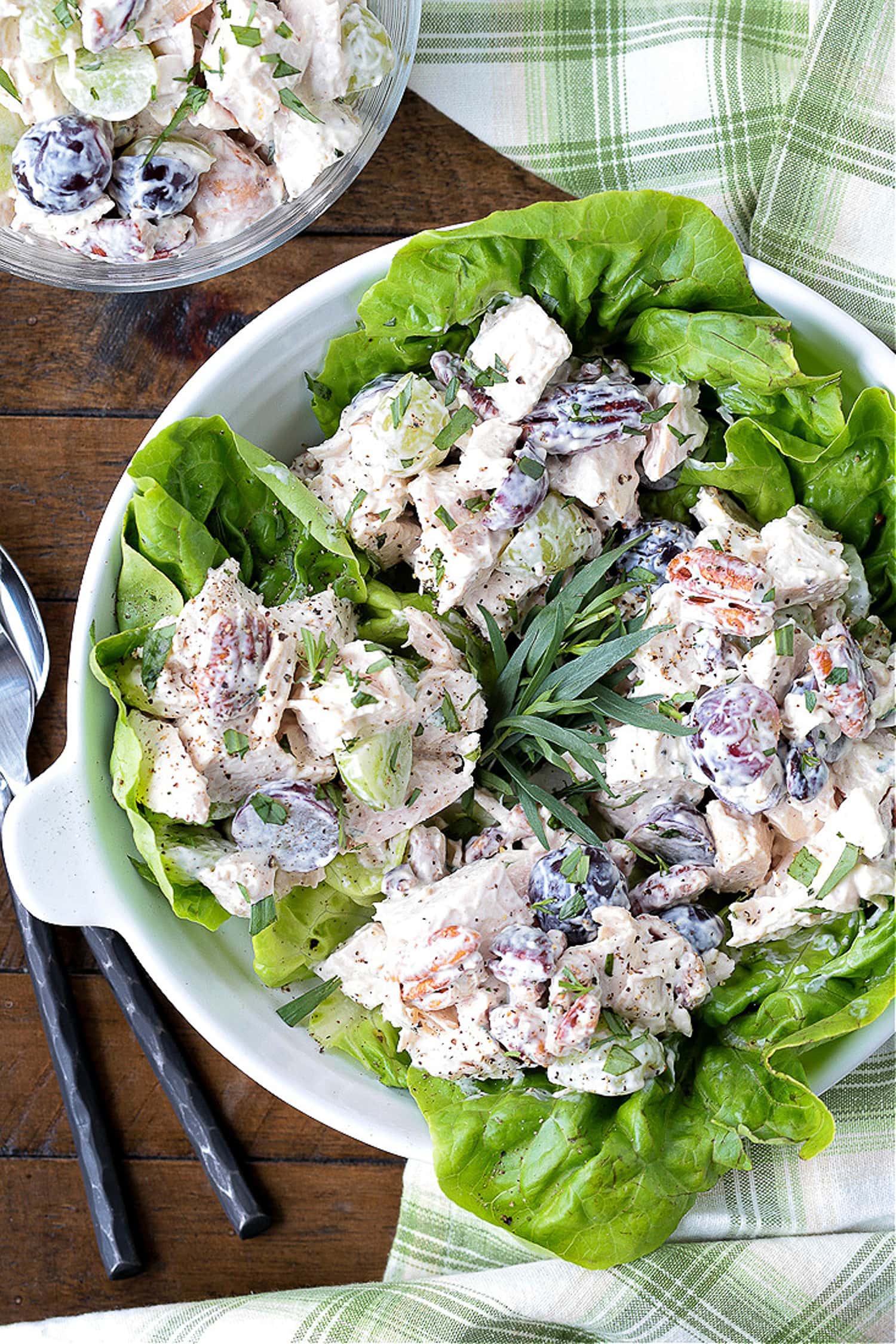 chicken salad on a bed of lettuce