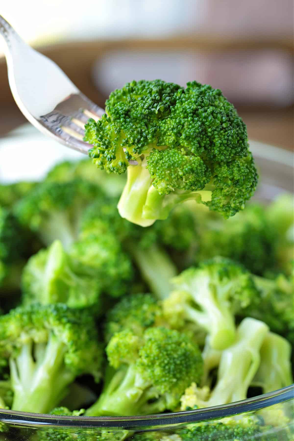 broccoli floret on fork over bowl of broccoli