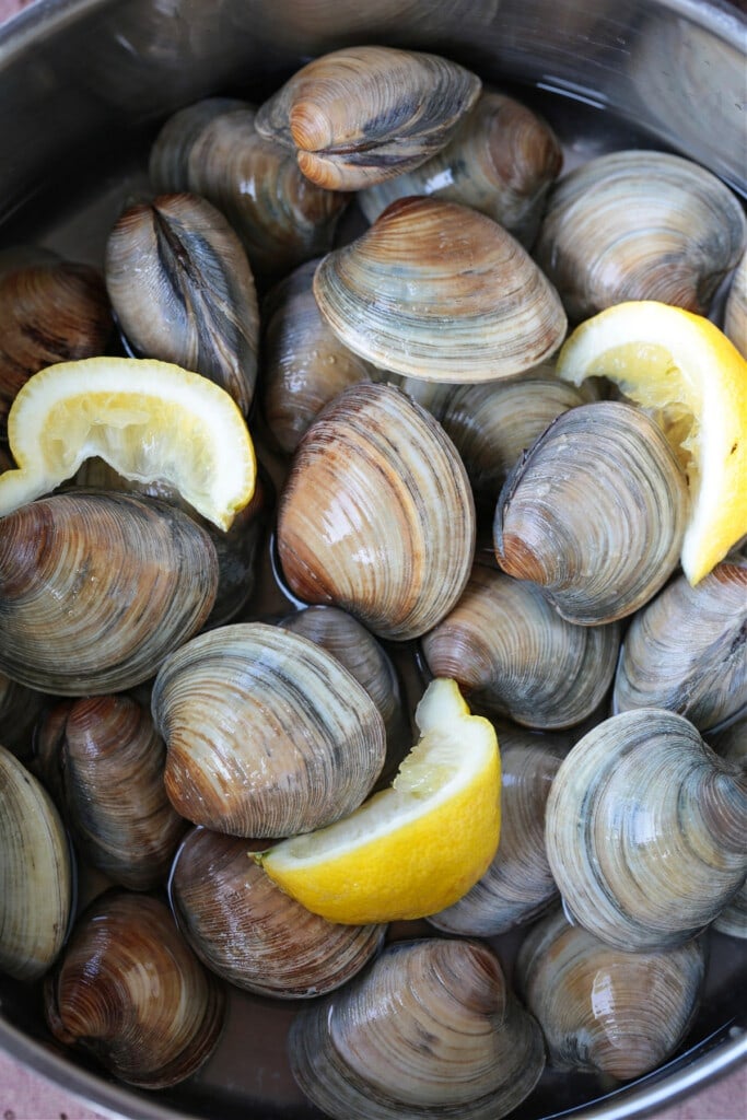 Baked Clams are always a hit! Fresh, steamed clams topped with a buttery breadcrumb topping. A delicious seafood appetizer or dinner! clams in pot with lemons