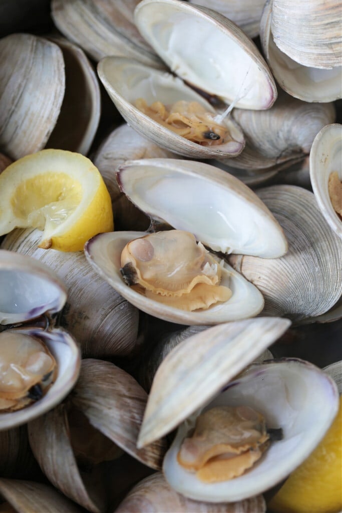 Baked Clams are always a hit! Fresh, steamed clams topped with a buttery breadcrumb topping. A delicious seafood appetizer or dinner! steamed clams in pot