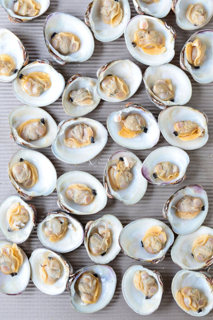Baked Clams are always a hit! Fresh, steamed clams topped with a buttery breadcrumb topping. A delicious seafood appetizer or dinner! steamed clams with shells open