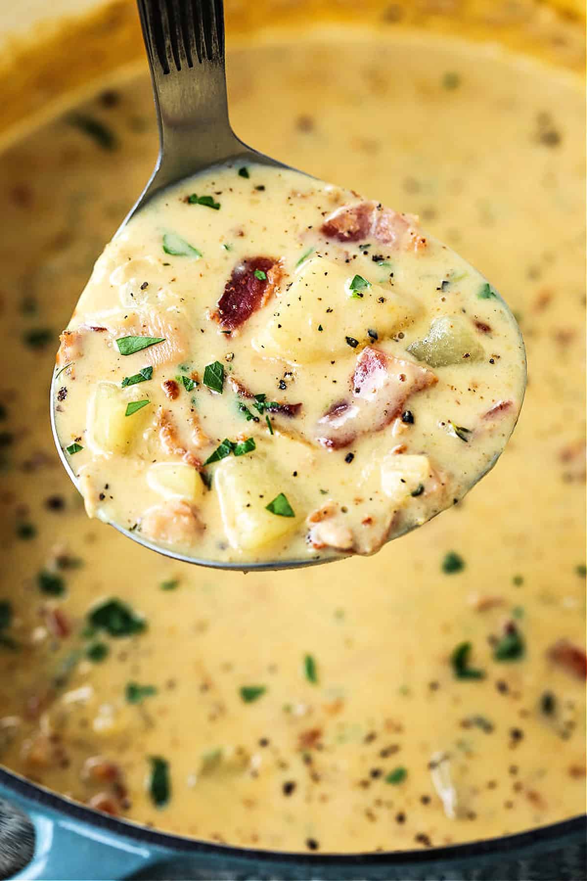 ladle in a pot with clam chowder