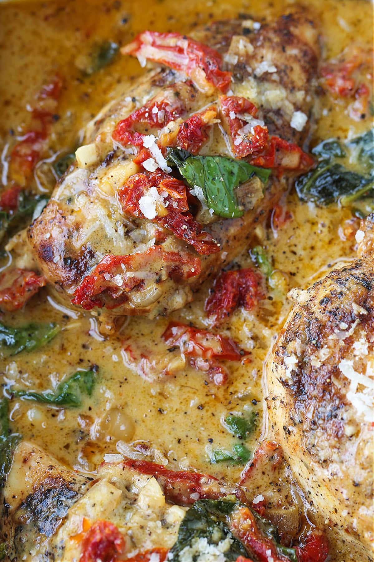 chicken breasts in a white wine cream sauce with sun dried tomatoes and spinach