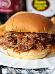 slow cooker bbq pulled pork on a bun