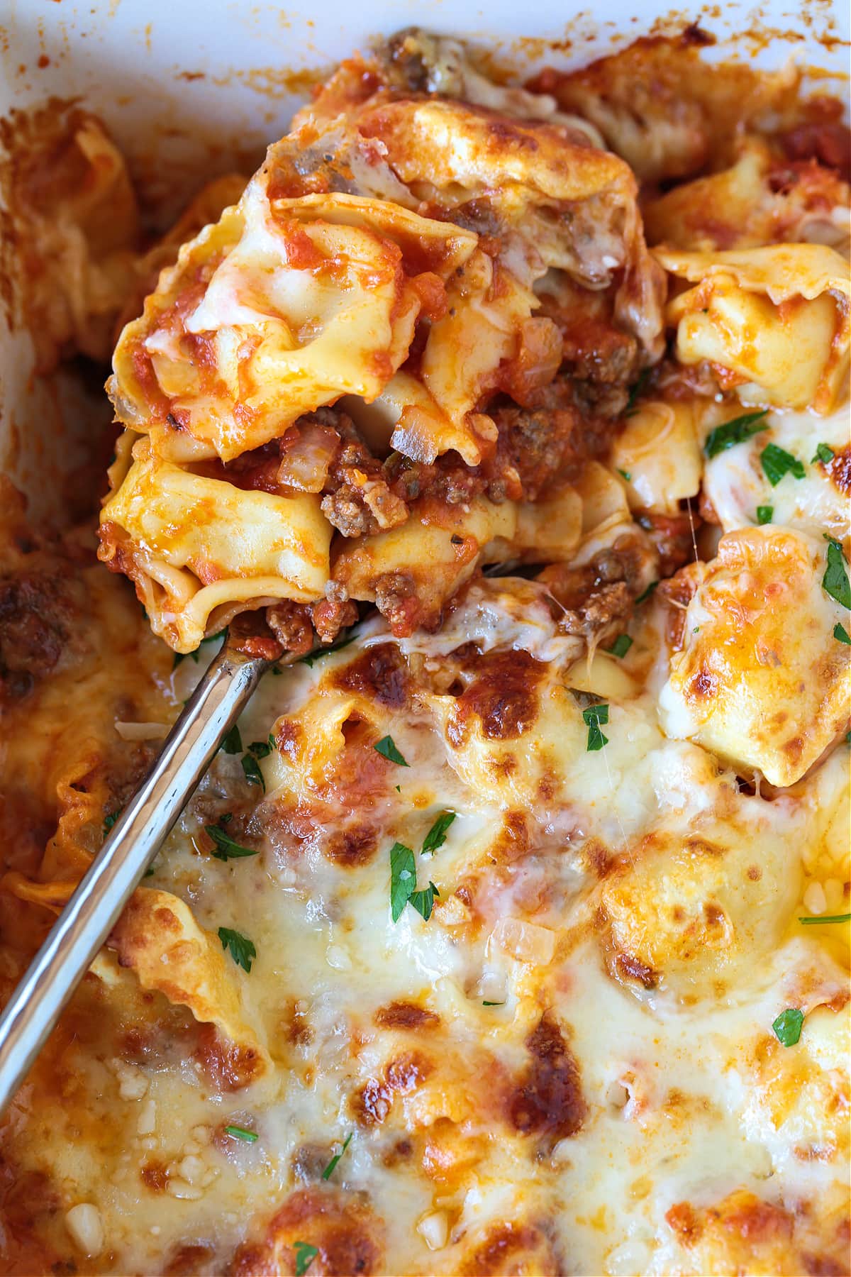 Make this Cheesy Tortellini Bake for an easy weeknight dinner or a cozy meal for guests. A hearty pasta casserole that everyone will love! spoon dipped into a casserole with tortellini, ground beef and cheese