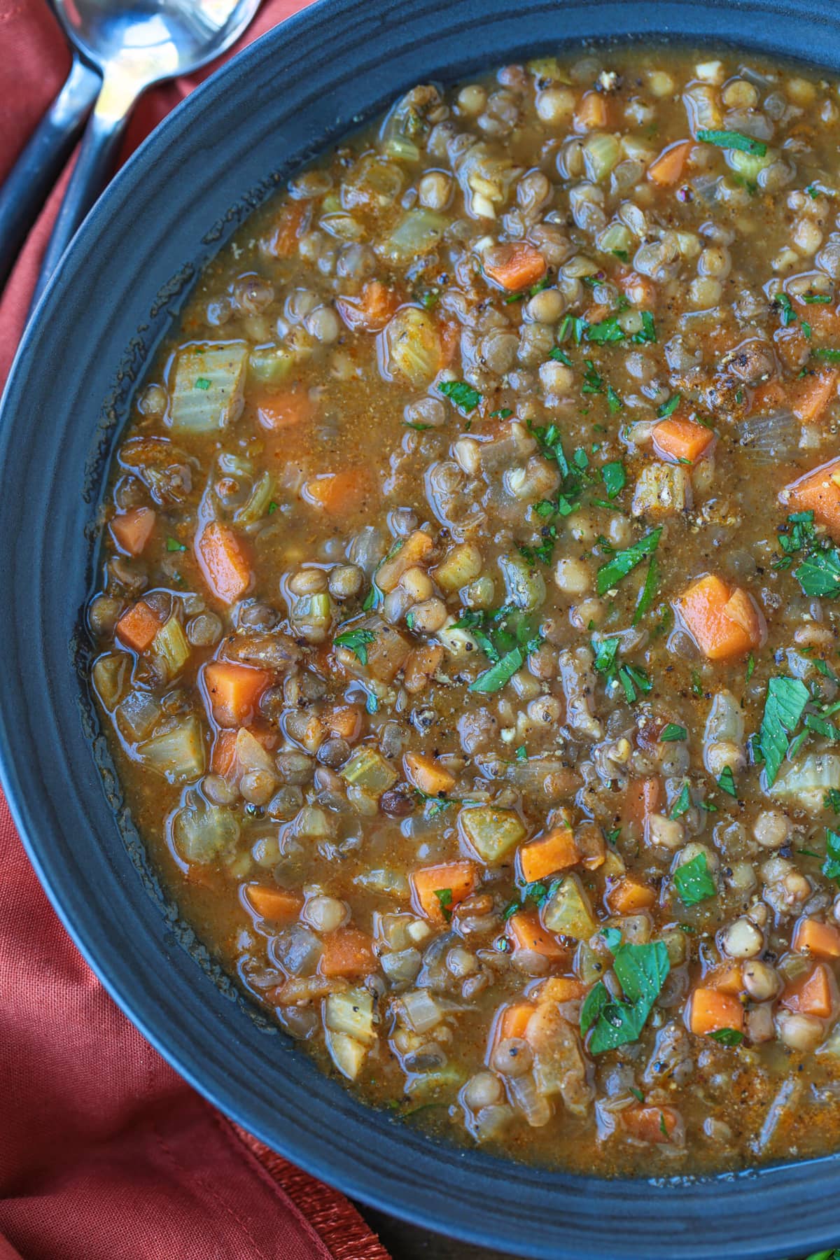 This cozy French Lentil Soup is ready to serve in just 30 minutes. Enjoy this veggie-packed, easy to make soup and night of the week! close up of a bowl of soup with lentils and vegetables