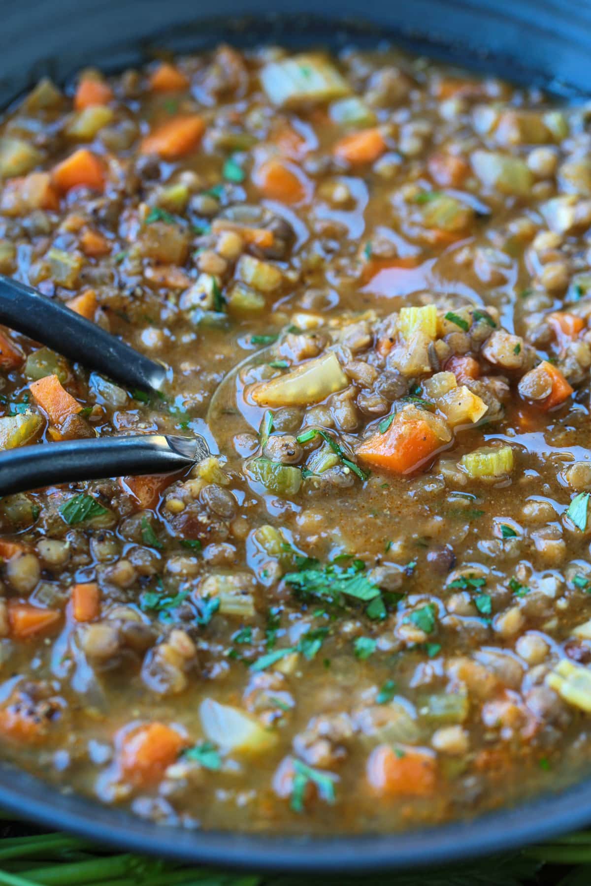 This cozy French Lentil Soup is ready to serve in just 30 minutes. Enjoy this veggie-packed, easy to make soup and night of the week! bowl of lentil soup with spoons