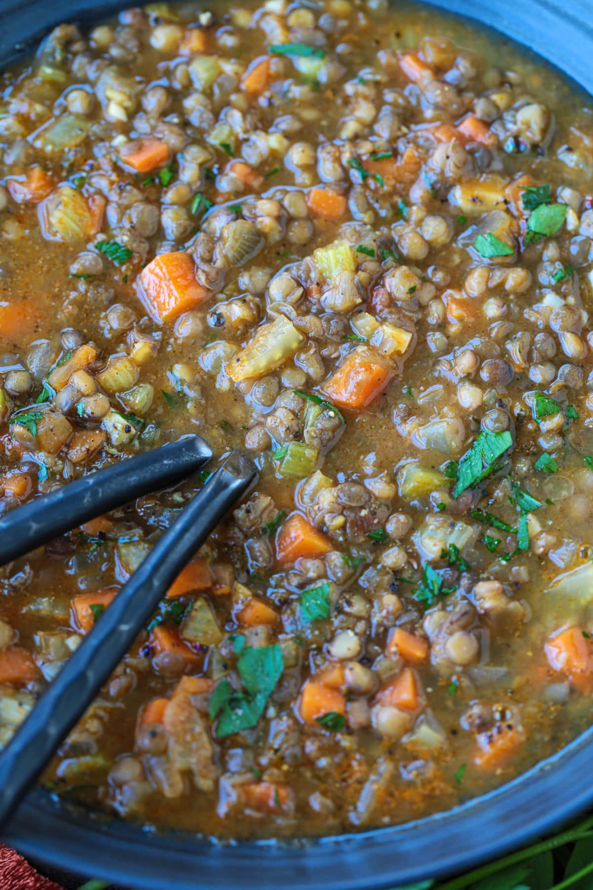 This cozy French Lentil Soup is ready to serve in just 30 minutes. Enjoy this veggie-packed, easy to make soup and night of the week! spoons in a bowl of lentil soup