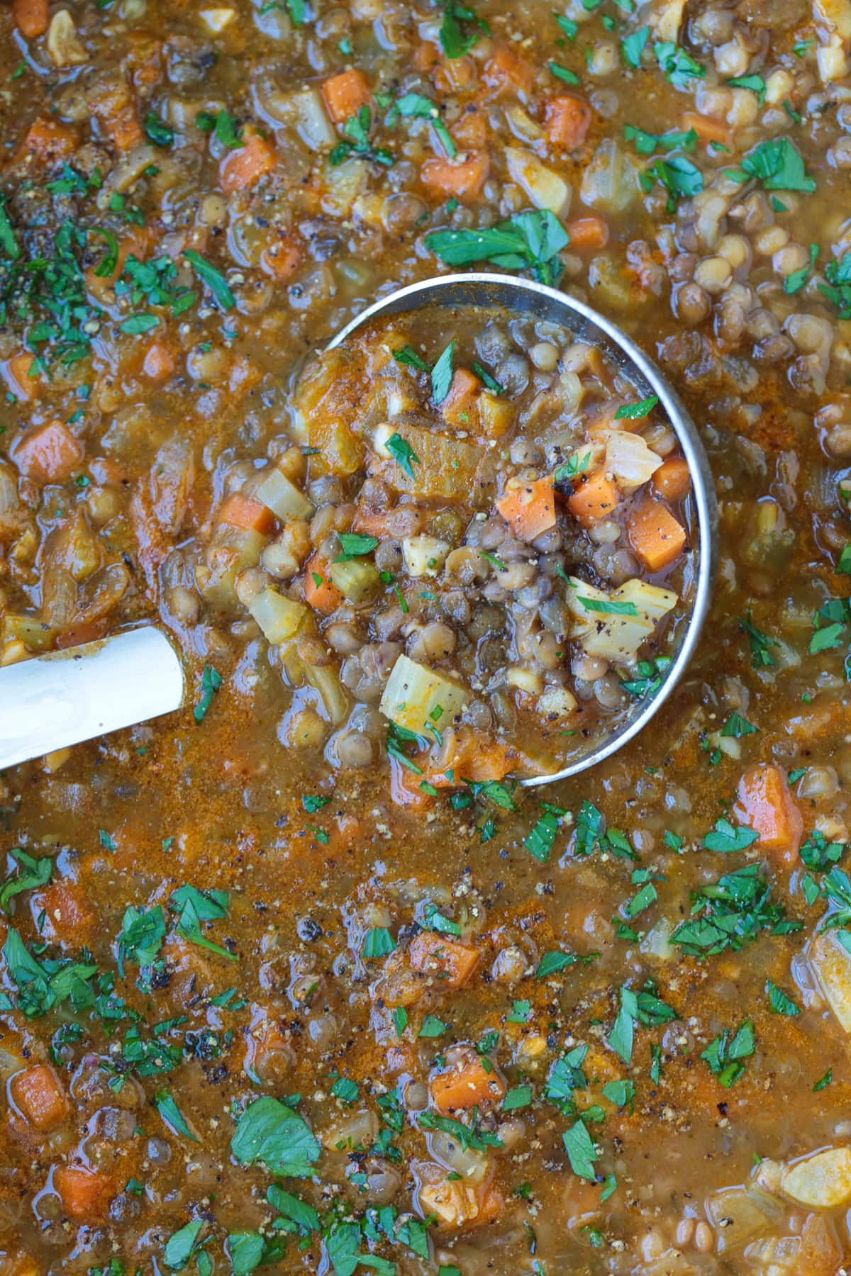 This cozy French Lentil Soup is ready to serve in just 30 minutes. Enjoy this veggie-packed, easy to make soup and night of the week! lentil soup in pot with ladle