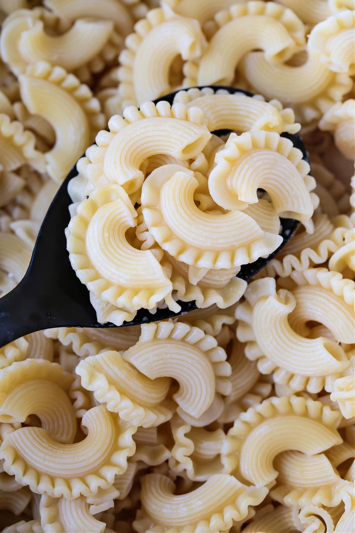 pasta shape with a curly edge