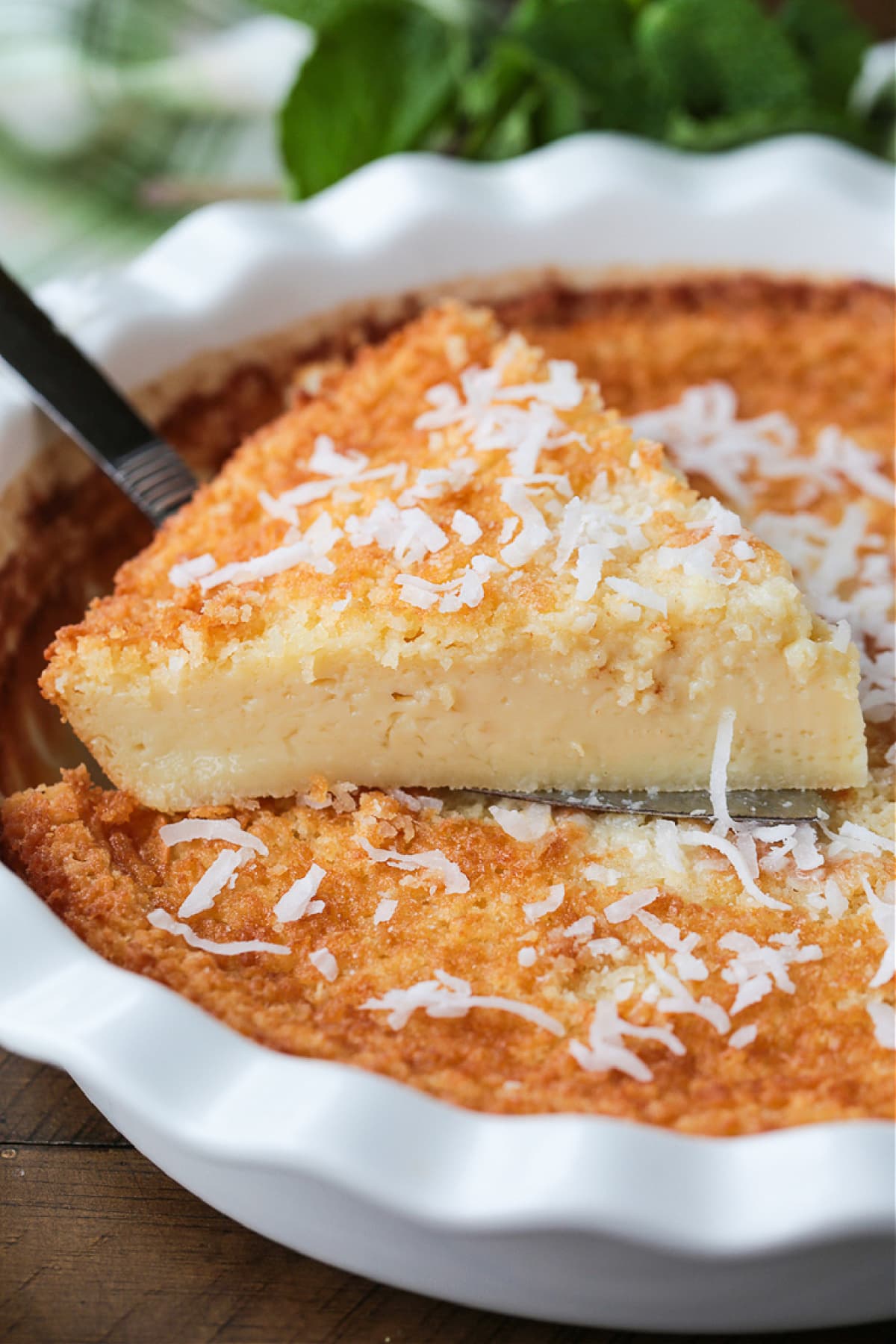 Impossible Coconut Pie is so easy to make it seems impossible! A creamy, sweet, custard pie that forms it's own crust as it bakes! slice of coconut pie with coconut on top