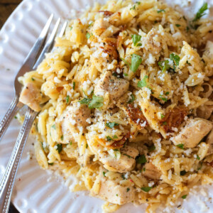 chicken and orzo on white plate with fork