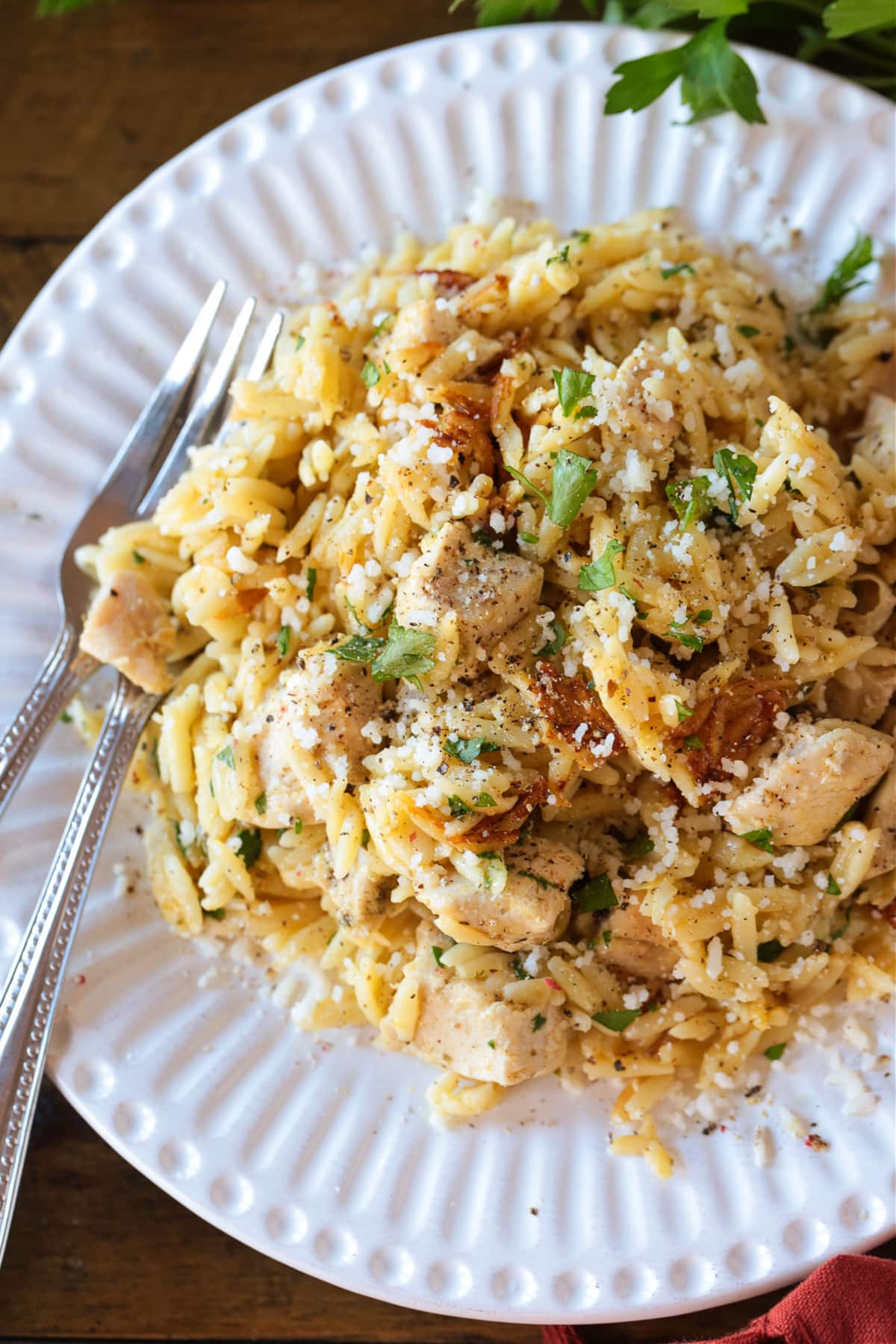chicken and orzo on white plate with fork