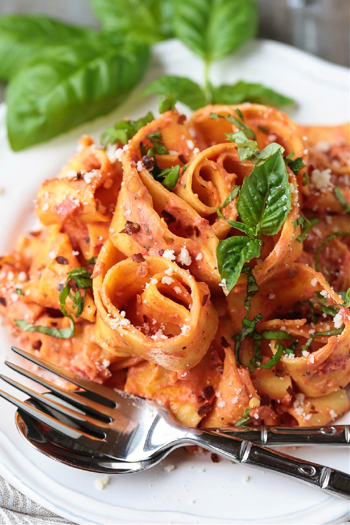 Pappardelle with Champagne Cream Sauce is perfect for the holidays! Pappardelle pasta tossed in a tomato cream sauce with real champagne! pappardelle pasta in a champagne cream sauce on plate with fork and basil