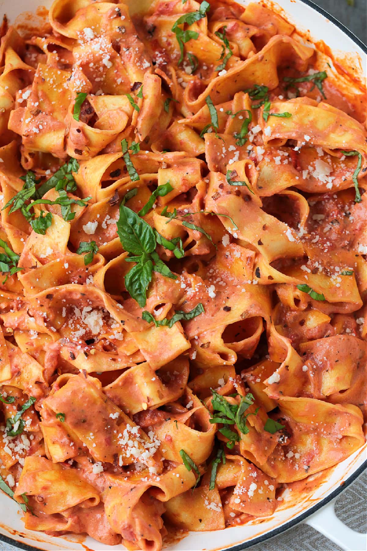 Pappardelle with Champagne Cream Sauce is perfect for the holidays! Pappardelle pasta tossed in a tomato cream sauce with real champagne! close up of pappardelle pasta with a tomato cream sauce