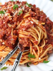 spaghetti with meat sauce twirled on a fork