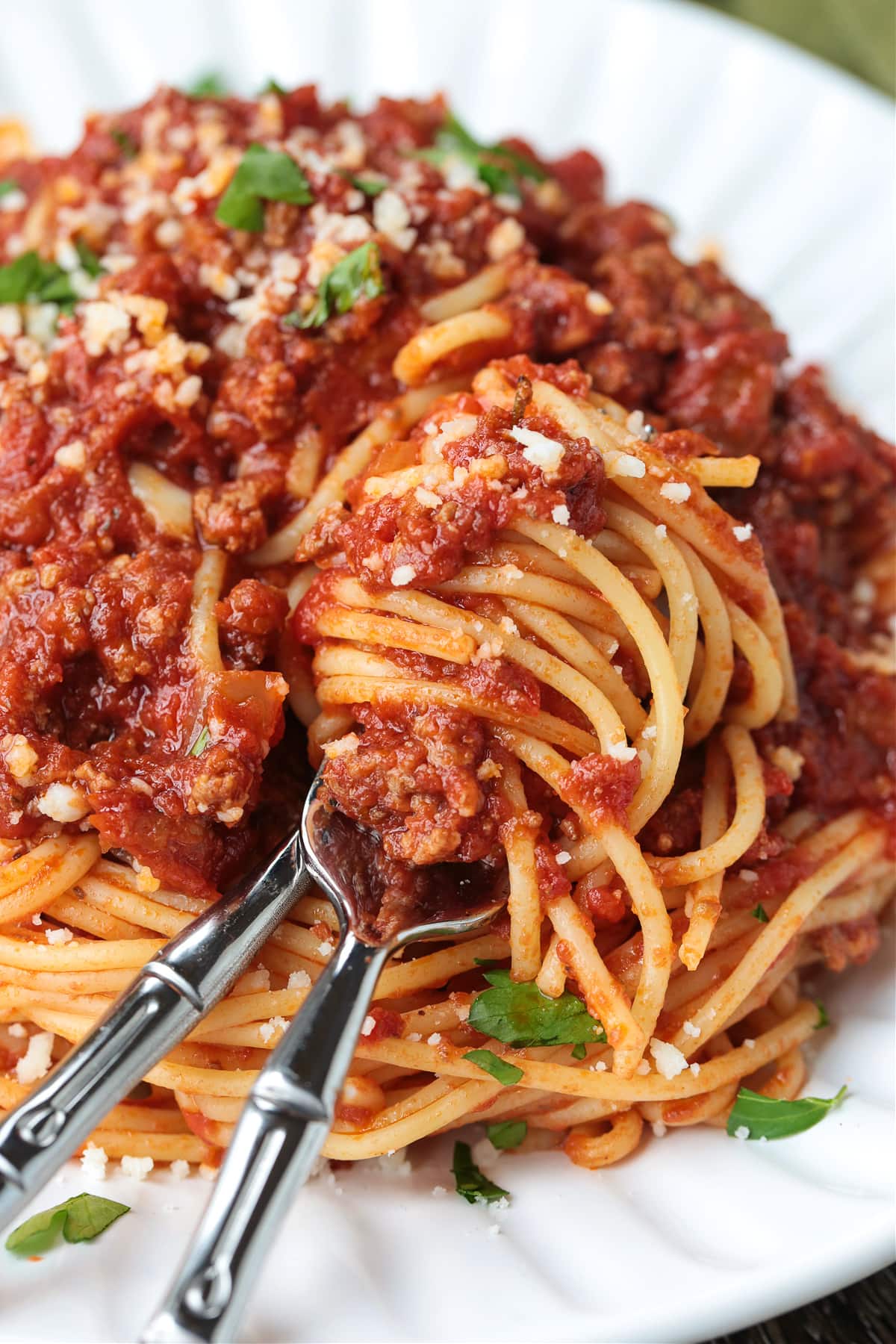 spaghetti with meat sauce twirled on a fork