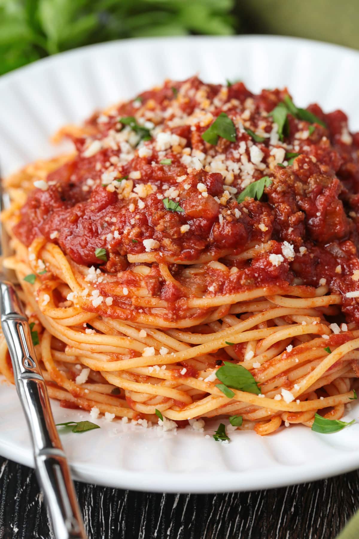 slow cooked spaghetti sauce on top of spaghetti on a white plate