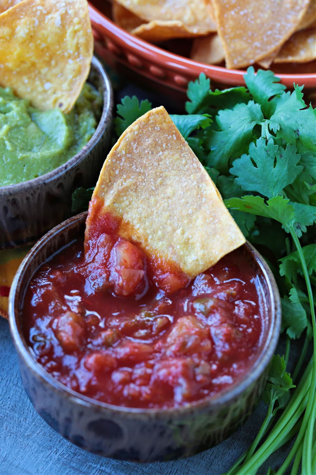 These Air Fryer Tortilla Chips are super crispy and so addicting! Dip them in salsa, serve them with soups or make a platter of nachos! tortilla chip dipped in salsa